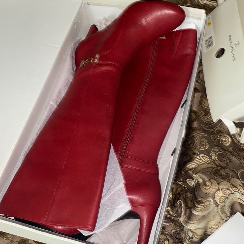 Gorgeous boots - Picture 3 of 7